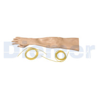 Piel y Arterias Brazo Puncion Arterial Completo
